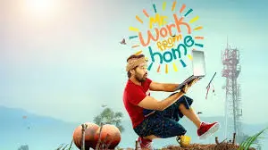 Mr.Work From Home Box Office Collection day 3 & 4, hit or flop?