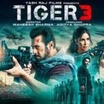 Tiger 3 Box Office Collection Day 38 ,DayWise Collection Full Report