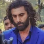 Animal Box Office Collection Days 33 and 34 ,Full Report