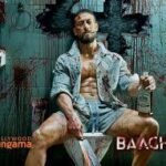 Baaghi 4 Hindi Film Cast & Crew, Plot, budget and many more