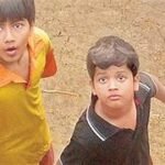 Chidiya Box Office Collection day 5 , hit or flop?