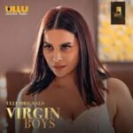 Virgin Boys Box Office Collection Day 4, Hit Or Flop ?