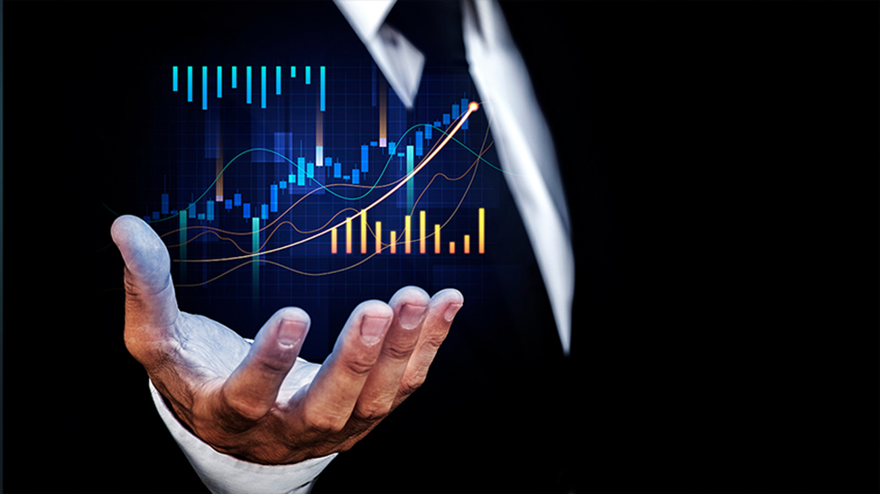 How is IPO Share Price Determined? A Guide to Valuation
