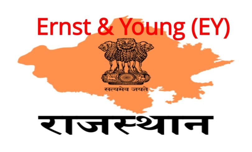 New Allegations Spark Debate on Oversight of Consultancy Firms in Government Project